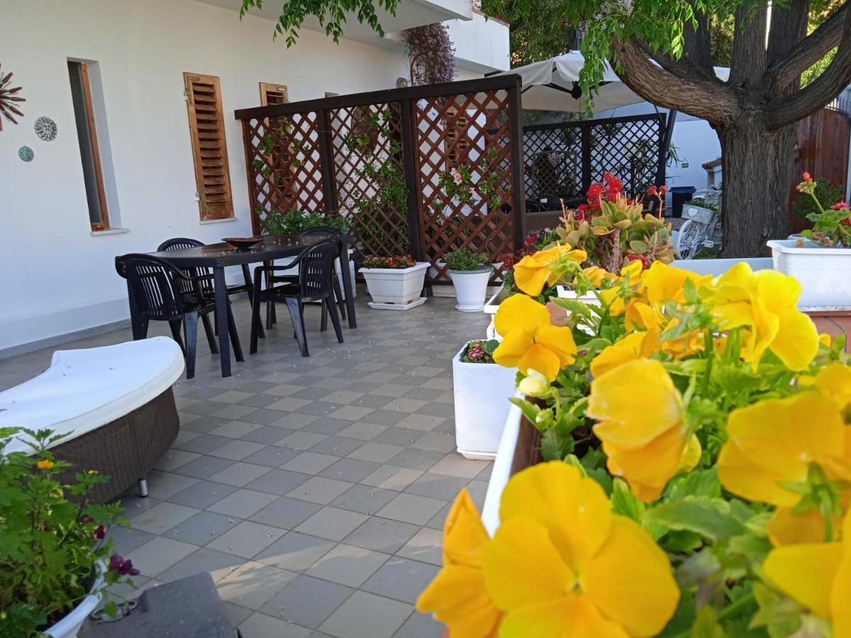 Guest House Oleandro Cin P2727 Santa Maria Navarrese Εξωτερικό φωτογραφία