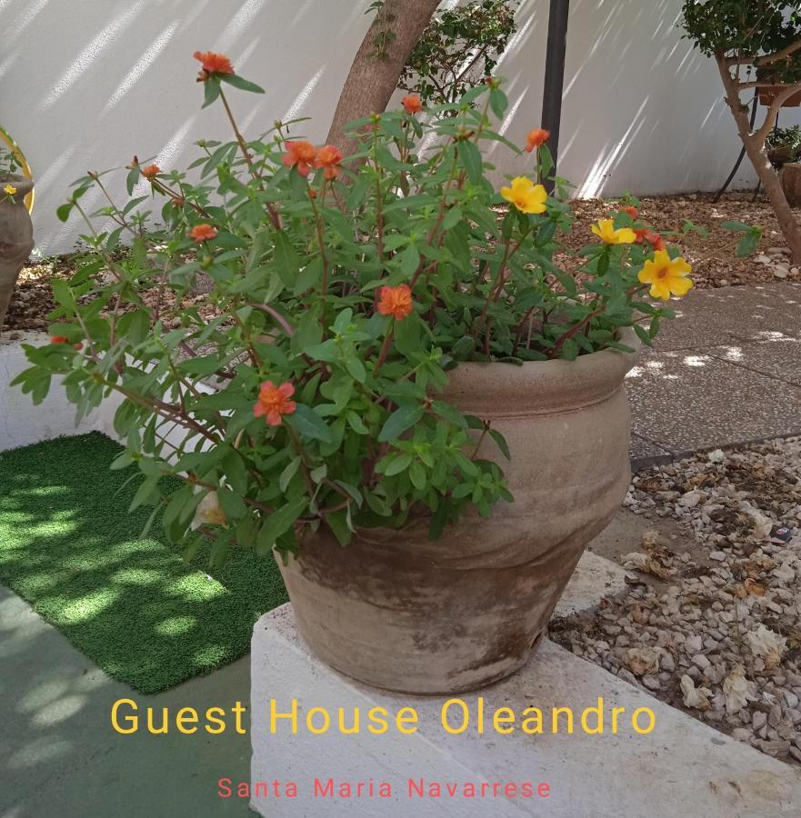 Guest House Oleandro Cin P2727 Santa Maria Navarrese Εξωτερικό φωτογραφία